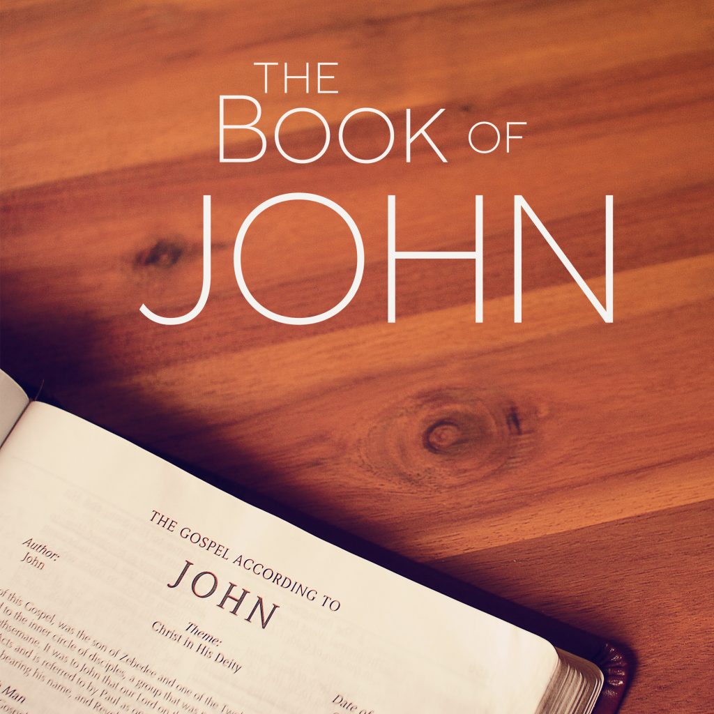 john books of the bible