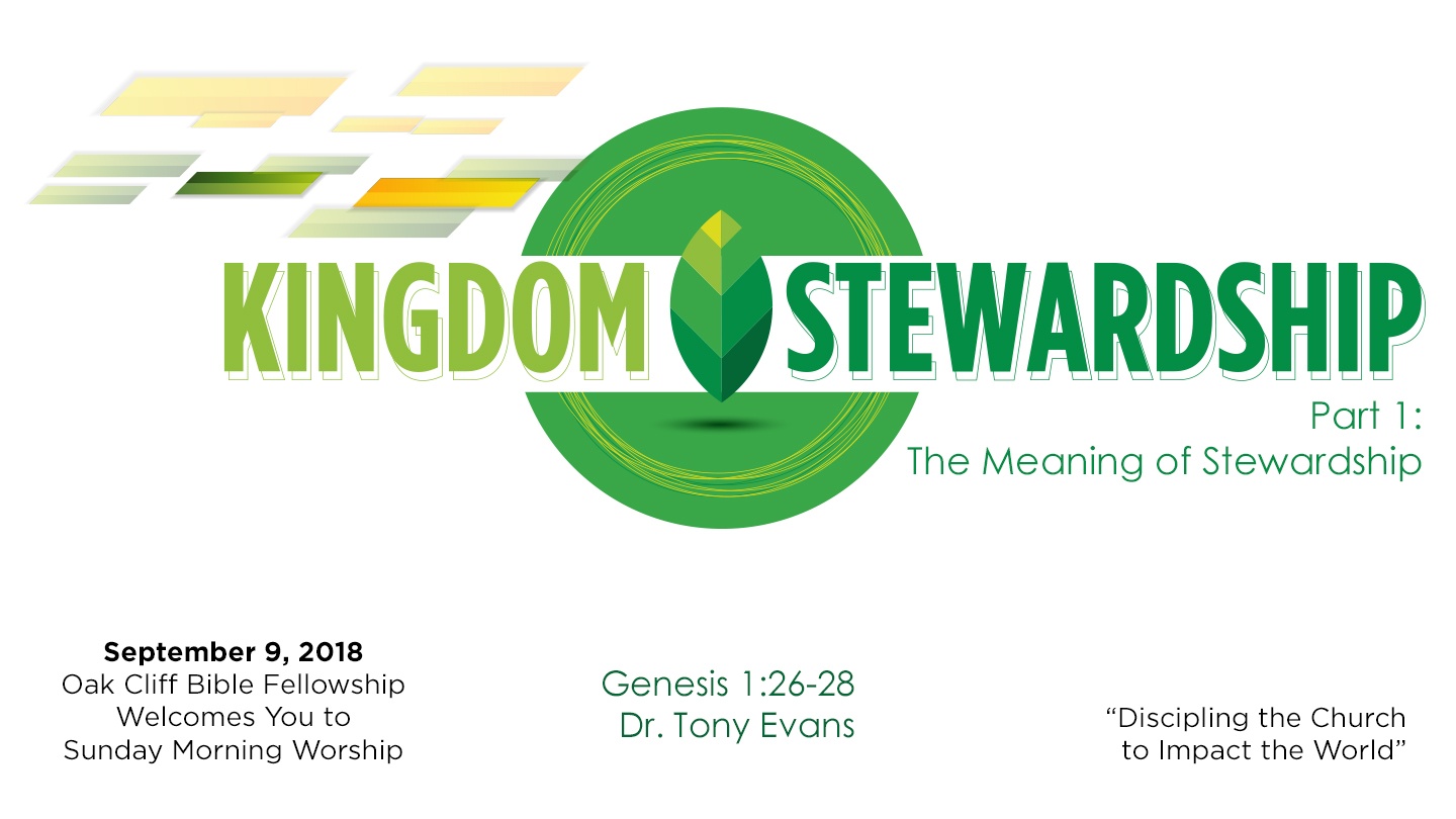 The Meaning of Stewardship