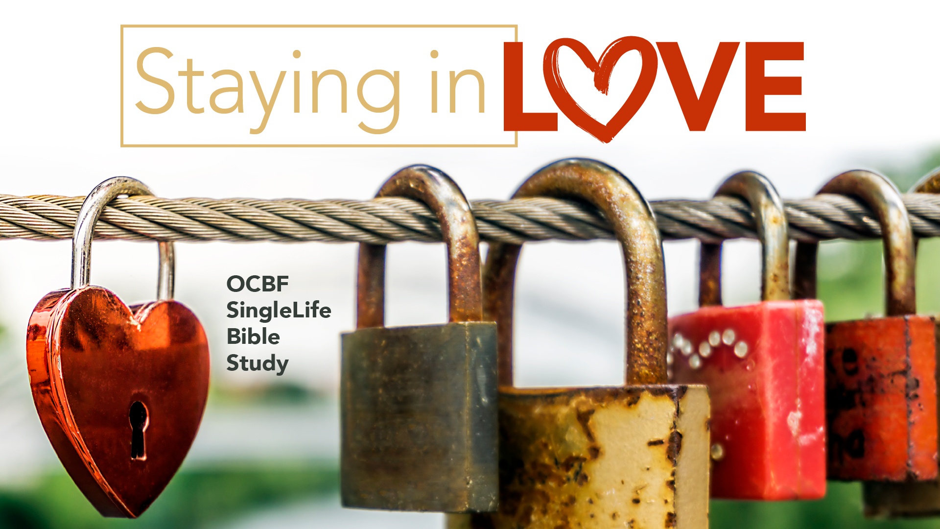 Singles Bible study Staying in Love