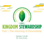 The Meaning of Stewardship